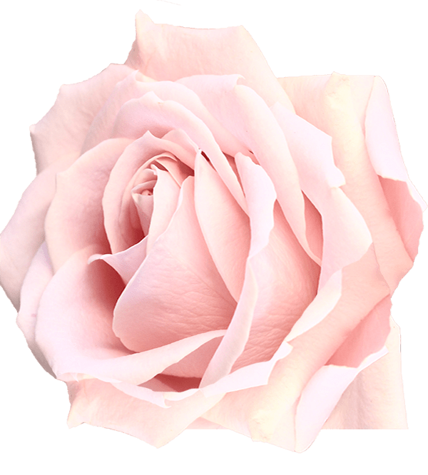 pexels-jess-bailey-designs-1167051-min